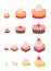 Cakes sizes set. Variety of Cake dessert with a cherry. Pastry fancy. Vector Isometric infographic illustration.