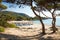 Cala Agulla beach in Cala Ratjada on Majorca island, Spain Medi