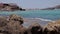 Cala conta Ibiza beach, People bathing in the beaches of ibiza