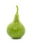 Calabash, Bottle Gourd