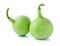 Calabash, Bottle Gourd vegetable