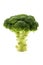 Calabrese broccoli