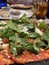 Calabrese Pizza - Italian Cuisine