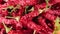 Calabrian dried red chillies for cooking