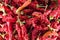 Calabrian dried red chillies for cooking