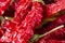 Calabrian dried red chillies for cooking