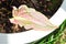 Caladium ,Caladium ThaiBeauty or Dieffenbachia seguine or Caladium bicolor or Araceae