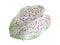 Caladium,  color of the leaf is white and light green. There are red or pink spots scattered all over the leaves. isolate white
