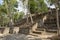 Calakmul mayan archeological site in Mexico