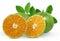Calamansi or Green orange fruits isolated on white