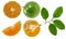 Calamansi or Green orange fruits isolated on white