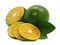 Calamansi or Green orange fruits isolated on white background