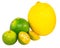 Calamansi, Lime and Lemon VII