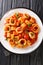 Calamarata pasta with squid in a spicy tomato sauce close-up in a plate. vertical top view