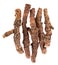 Calamus root isolated on white background. Sweet flag, sway or muskrat root, vasambu. Dry root of Acorus calamus. Top