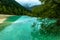 Calcification ponds at Huanglong, Sichuan, China