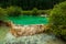 Calcification ponds at Huanglong, Sichuan, China