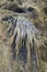 Calcite flowstone formation in the Big Room, Carlsbad Caverns National Park, New Mexico, United States of America