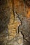 Calcite inlets, stalactites and stalagmites in large underground halls in Carlsbad Caverns National Park, New Mexico. USA