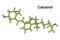 Calcitriol molecule, active form of vitamin D3