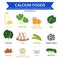 Calcium foods, food info graphic, icon vector