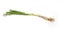 Calcot, spring onion from Spain