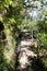 Caldeirao Verde levadas hiking walkway in Madeira mountain