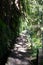 Caldeirao Verde levadas hiking walkway in Madeira mountain