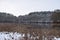 caldera lake Holzmaar in winter, reed area