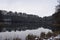 caldera lake Holzmaar in winter, view from the reed area to the forest side