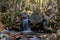 Caledonia waterfall , at Troodos Mountains