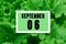 Calendar date oncalendar date on the background of green lettuce leaves.  September 6 is the sixth day of the month