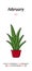 Calendar February 2022. Indoor Scarlet Potted Sketch. Vector flower in a pot. Doodle color illustration of a plant. Cartoon