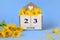 Calendar for June 23: cubes with the number 23 , the name of the month of June in English, a bouquet of yellow daisies, blue