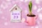Calendar for March 23: decorative house with the name of the month of March in English, numbers 23, growing hyacinth planted in a
