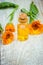 The calendula extract. Medicinal plants.