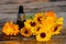 The calendula extract. Medicinal plants. Calendula oil bottle with pipette and calendula flowers.