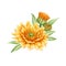 Calendula flower arrangement. Watercolor illustration. Orange medical natural herb. Calendula officinalis plant on white