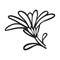 Calendula flower icon, simple style