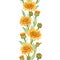 Calendula flower seamless border. Watercolor illustration. Yellow medical natural herb. Calendula officinalis plant