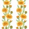 Calendula flower seamless pattern. Watercolor illustration. Yellow medical natural herb pattern. Calendula officinalis