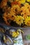 Calendula flowers in metal plate, preparing for drying in rustic kitchen