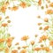 Calendula frame pattern, marigold card isolate watercolor white background