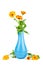 Calendula Marigold flowers in blue ceramic vase