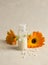 Calendula officinalis, the pot marigold, ruddles, common marigold or Scotch marigold with white round homeopathy pills in medical