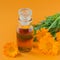 Calendula products. Bottle of cosmetic or essential oil and fresh calendula flowers on orange background. Aromatherapy, spa,