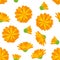 Calendula seamless pattern. Bright orange flowers in a cartoon flat style.