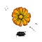 Calendula vector drawing. Isolated medical flower