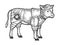 Calf bull in knight armor sketch engraving vector