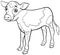 Calf farm animal comic character coloring book page
